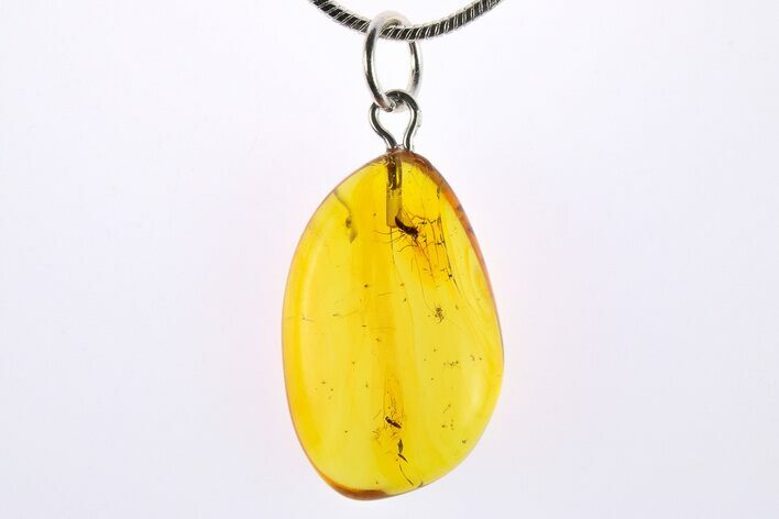 Polished Baltic Amber Pendant (Necklace) - Contains Fly! #273239